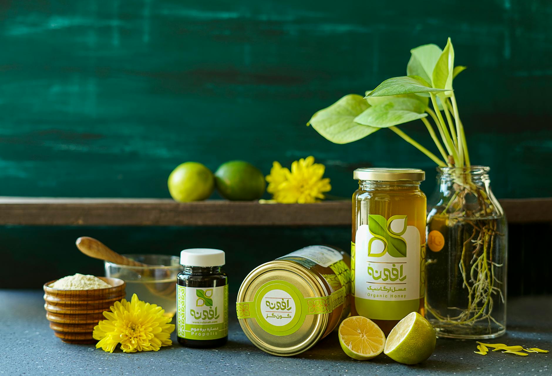 Organic Food Industry Logo Design Ideas