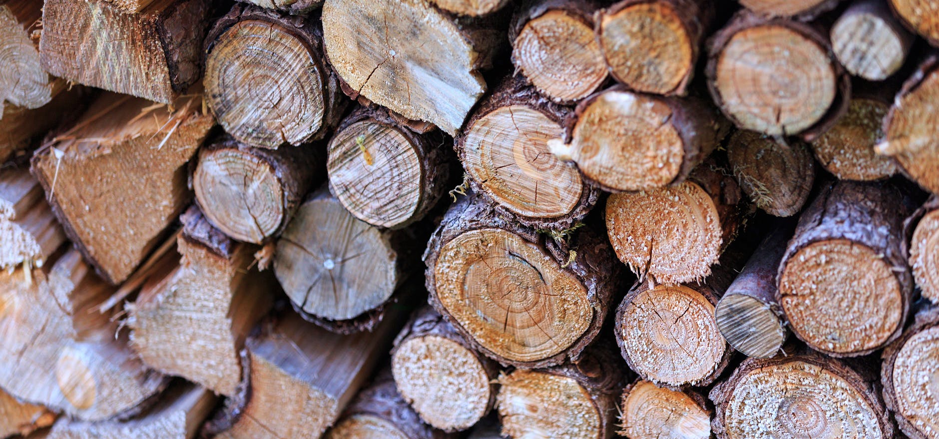 How to Get Clients for Your Timber Processing Business