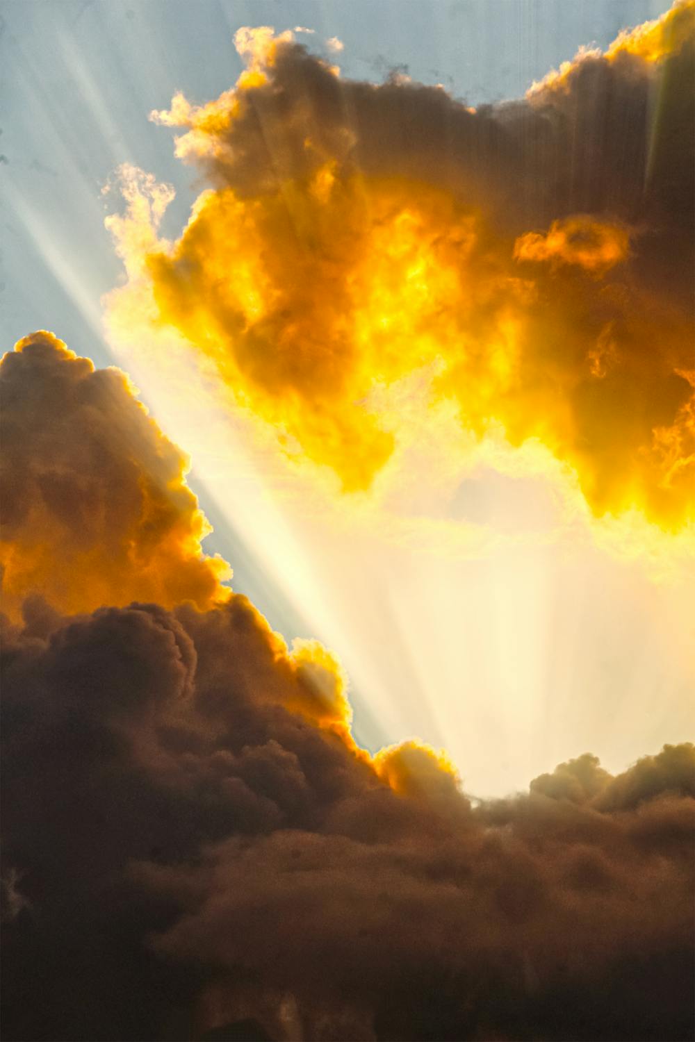 How to Get Clients for Your Tree Removal Business