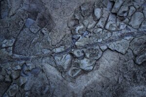 How to Create Organic Hard Seltzer Industry Logo