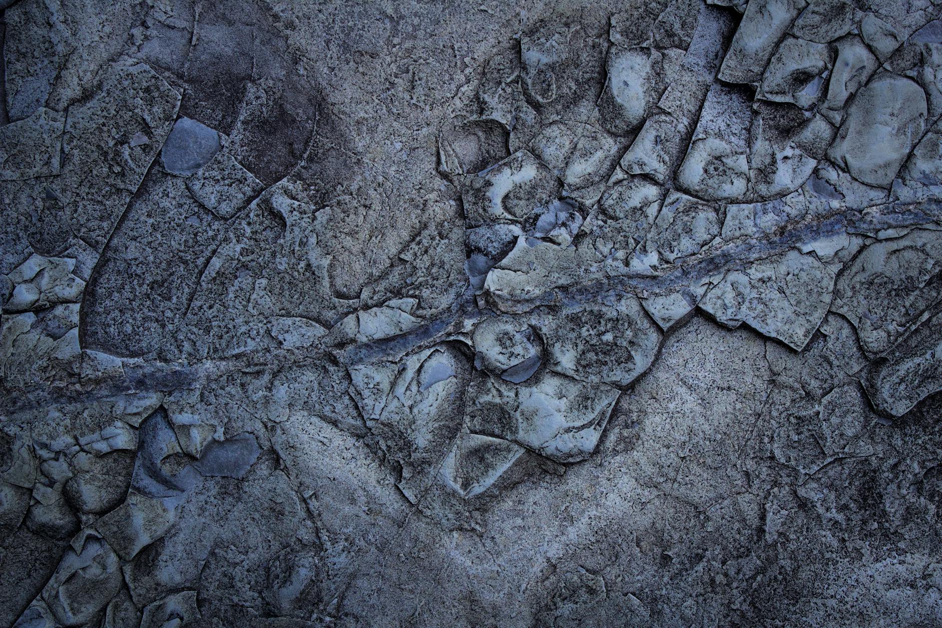 How to Create Organic Hard Seltzer Industry Logo