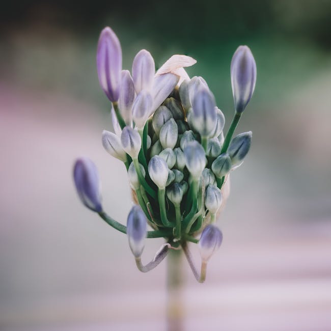 Read more about the article What is 24 Bit Color Depth