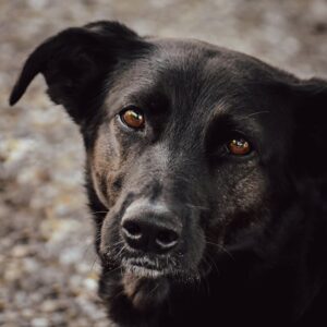 Read more about the article What is Aggressive Typeface