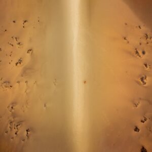 Read more about the article What is Algerian Typeface