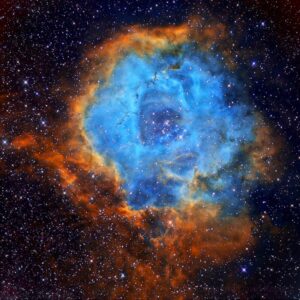 Read more about the article What is Alpha Typeface