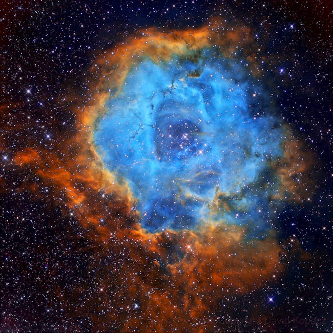 You are currently viewing What is Alpha Typeface