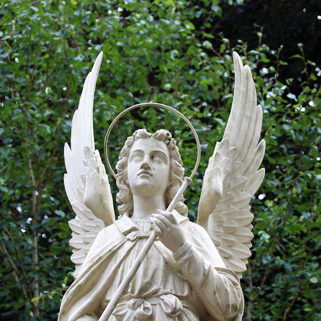 You are currently viewing What is Angel Svg