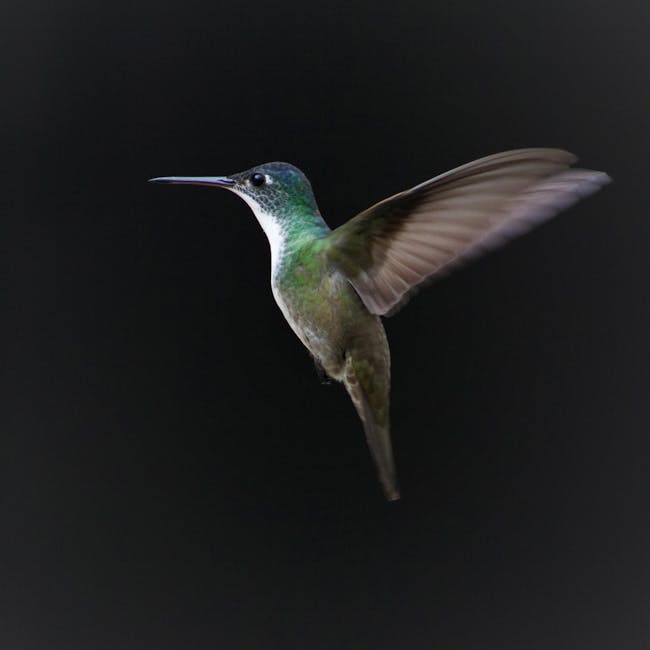 Read more about the article What is Animal Svg