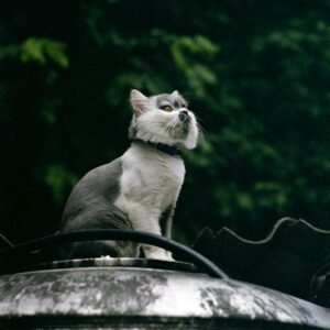 Read more about the article What is Anime Hair Sketch