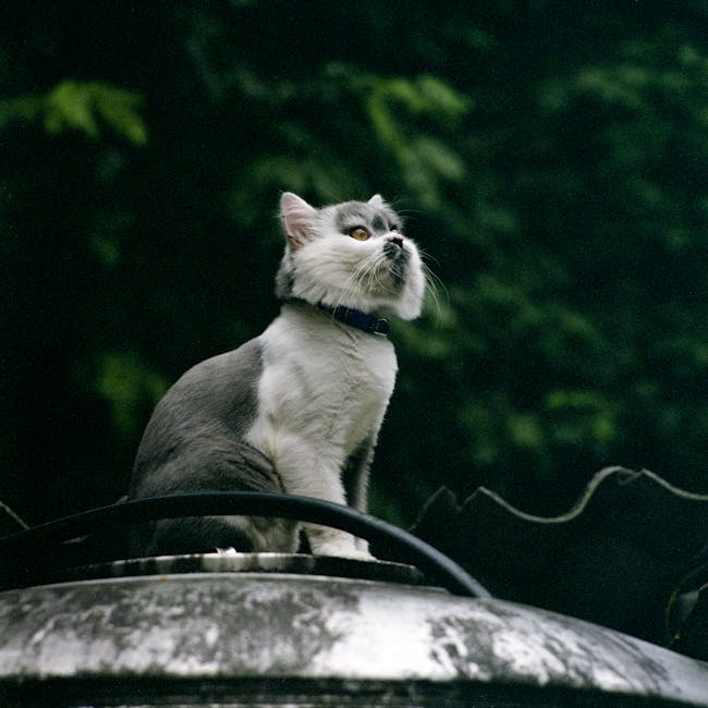 You are currently viewing What is Anime Hair Sketch