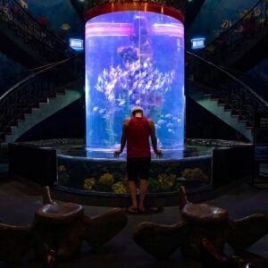 Read more about the article What is Aquarius Glyph