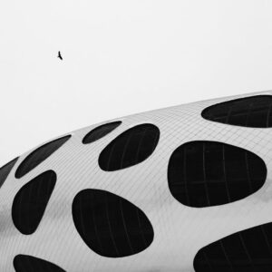 Read more about the article What is Aurea Proportion