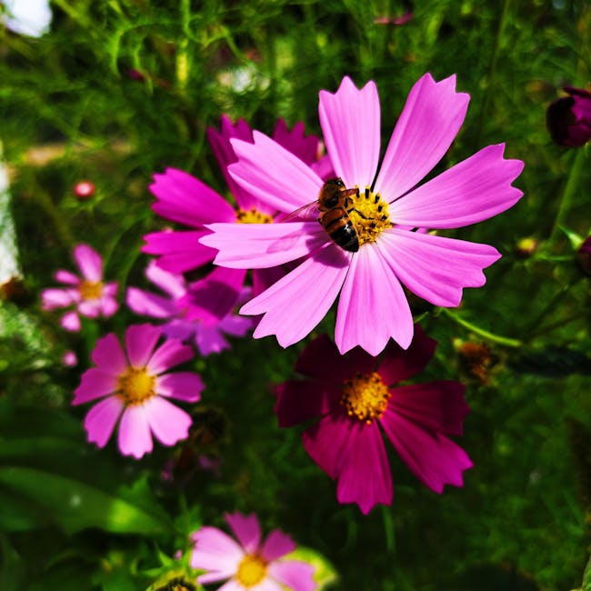 You are currently viewing What is Bee Svg