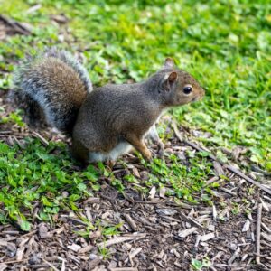 Read more about the article What is Benton Sans Typeface