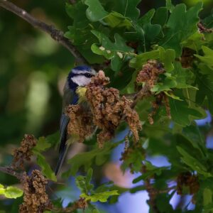 Read more about the article What is Blue Green Yellow Color Palette