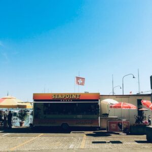 Read more about the article What is Blue Heron Symbol