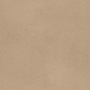 Read more about the article What is Brain Sketch