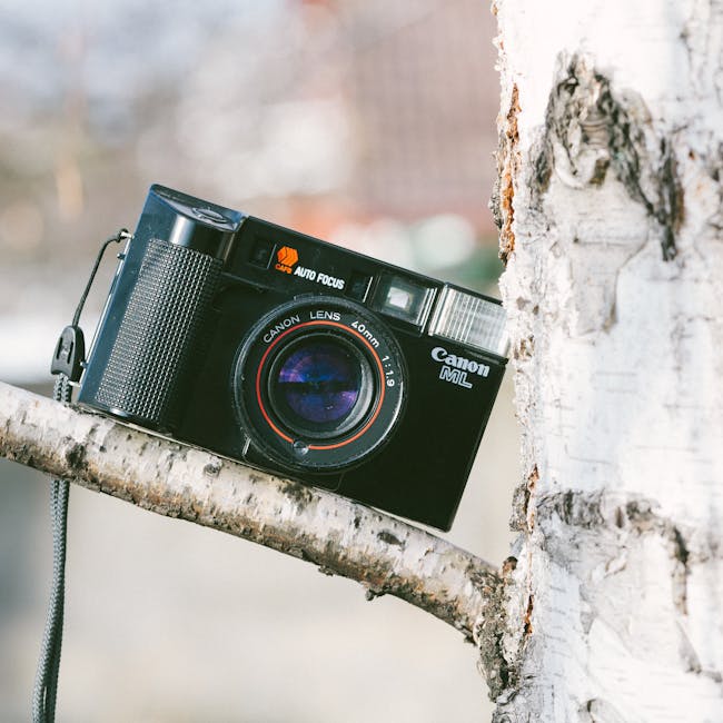 You are currently viewing What is Brand Manual