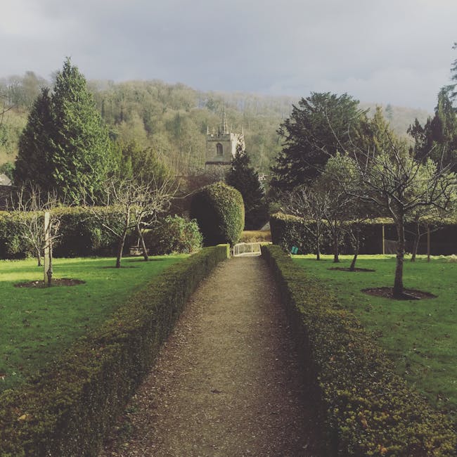 You are currently viewing What is Castle Svg