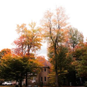 Read more about the article What is Change Svg Color