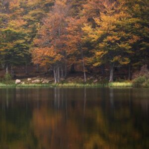 Read more about the article What is Changing File Format