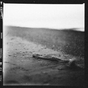 Read more about the article What is Cinematic Fonts