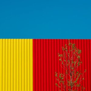 Read more about the article What is Color Harmony Monochromatic