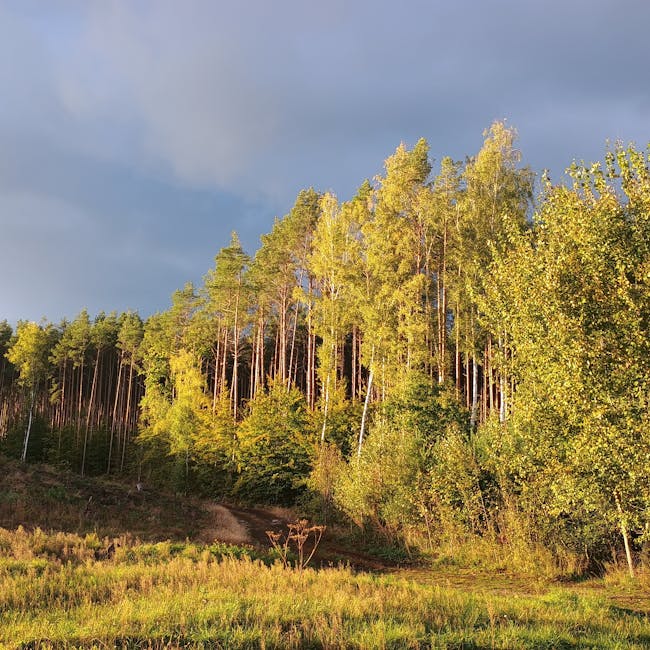 You are currently viewing What is Combine Paths Illustrator