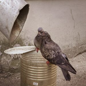 Read more about the article What is Common File Extensions