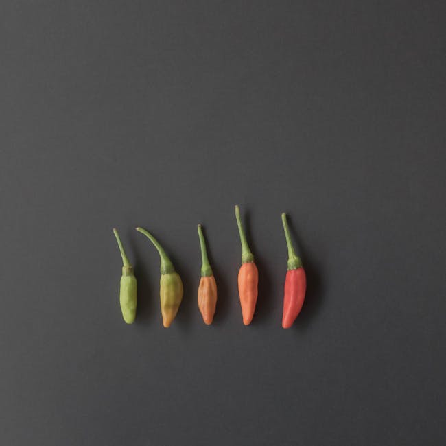 You are currently viewing What is Composition Layout