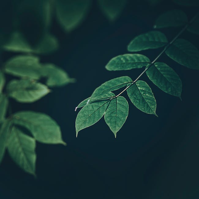 You are currently viewing What is Consumer-driven Branding Growth