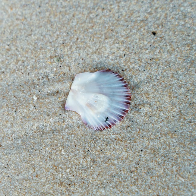 You are currently viewing What is Copyright Claim