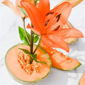 Read more about the article What is Creative C Logo