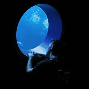 Read more about the article What is Customer Experience Optimisation