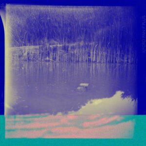 Read more about the article What is Digital Landscape Logo