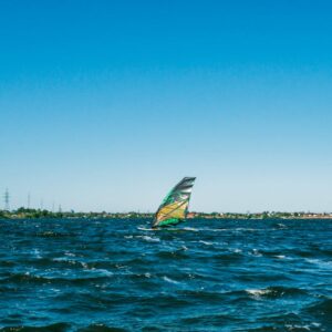 Read more about the article What is Dragon Vector Images