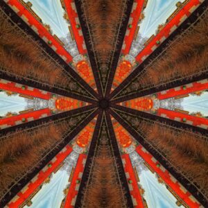 Read more about the article What is Dynamic Visual Identity