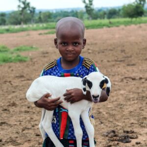 Read more about the article What is Earth Tone Color Palette Code