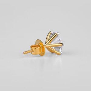 Read more about the article What is Ecommerce Loyalty Platforms