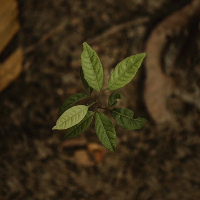You are currently viewing What is Environment Friendly Logo