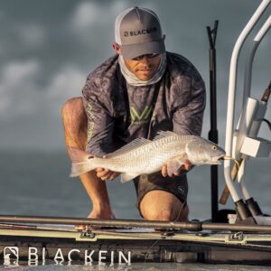 Read more about the article What is Fish Svg