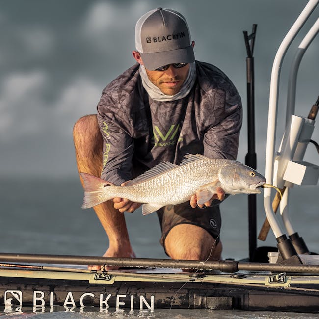 You are currently viewing What is Fish Svg