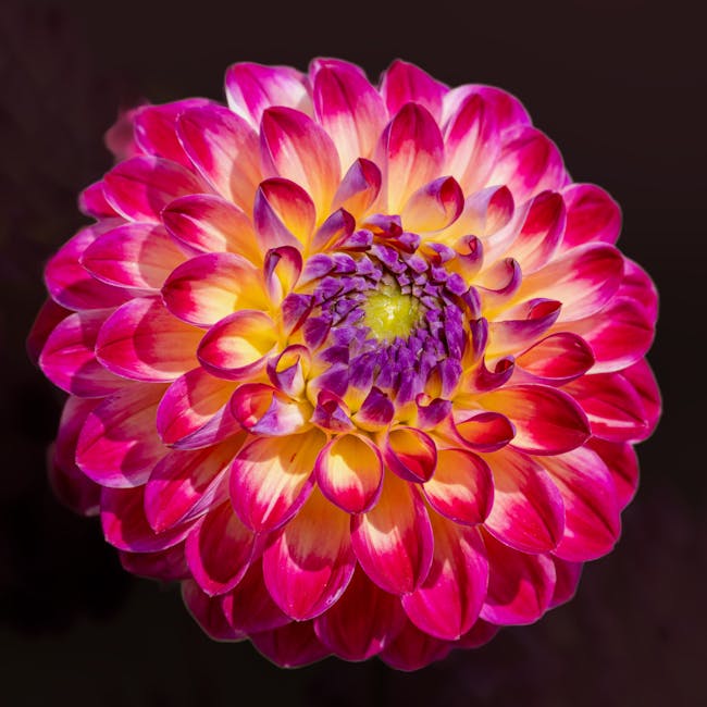 You are currently viewing What is Floral Logo Design