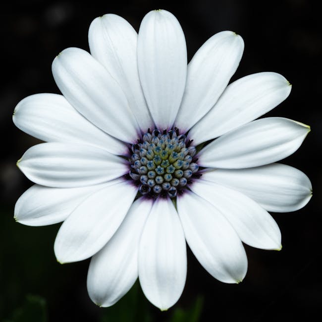Read more about the article What is Flower Minimal Tattoo