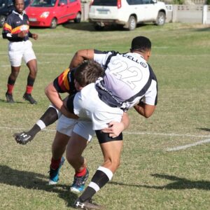 Read more about the article What is Football Steelers Logo