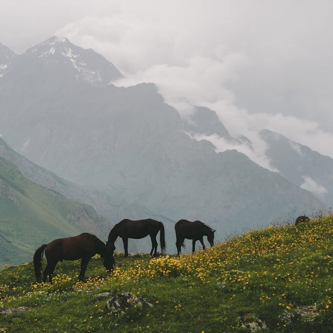 You are currently viewing What is Frontier Airlines Logos
