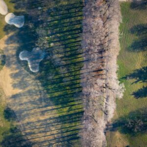 Read more about the article What is Golf Svg