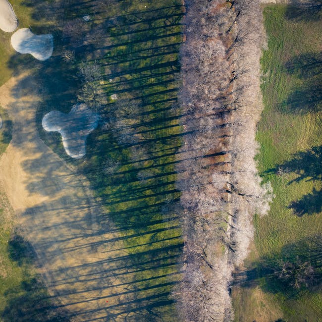 You are currently viewing What is Golf Svg