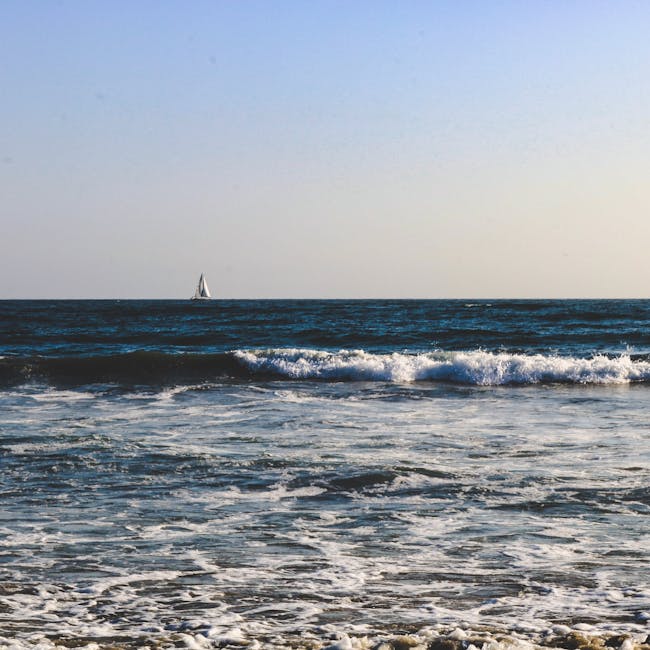 You are currently viewing What is Holiday Font