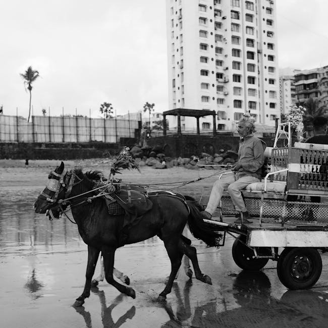 You are currently viewing What is Horse Vector Images